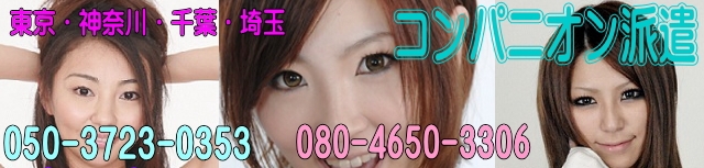 コンパニオン許可について