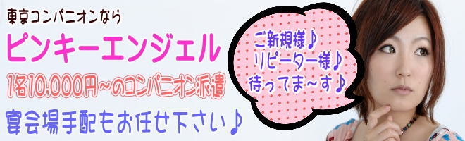 コンパニオン許可について
